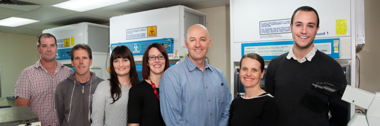 $1m NRF Brain Tumour Research Chair Established at Uni SA image